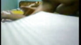 বড়ো মাই ব্লজব বাঁড়ার রস খাবার তিনে মিলে আন্ত এইচডি বিএফ সেক্সি জাতিগত